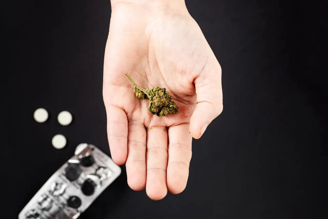 Cannabis con fines medicinales y dependencia puede existir uso problemático aunque haya empezado por salud
